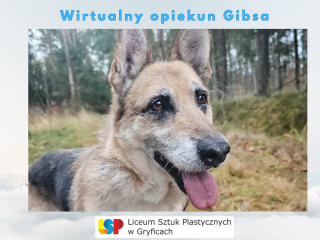 c_320_240_16777215_0_0_images_psy_Gibs_Wirtualny_opiekun_Gibsa.png