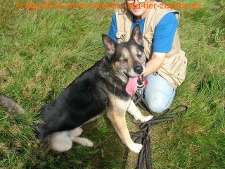Jey Jey Pestka Nero