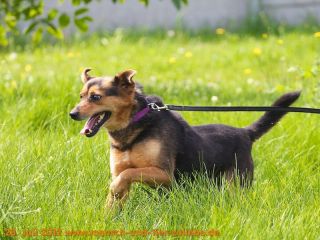 Kacper