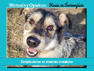 c_320_240_16777215_0_0_images_psy_psy_ADWIRTozi.jpg