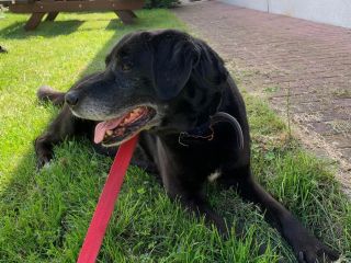 Alf 09.07.2022