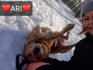 Ari 6