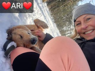 Ari 8