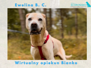 Zdjęcie WhatsApp 2025 10 30 o&nbsp;11.25.36 1684cb92