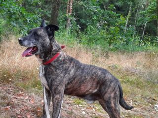 Borysn 21.08.2022