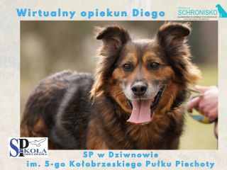 Wirtualny opiekun Diego