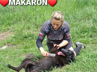 makaron i&nbsp;gosia