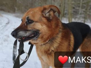 Maks10