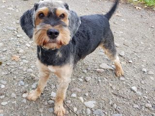 Max