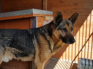Paco5