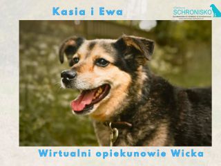 Wirtualny opiekun Wicka