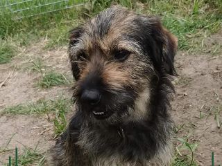 Beki