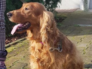 Kajla 001
