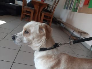 Kama