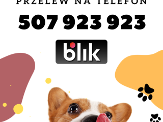 c_320_240_16777215_0_0_images_schronisko_02_blik.png