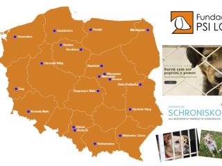 mapka