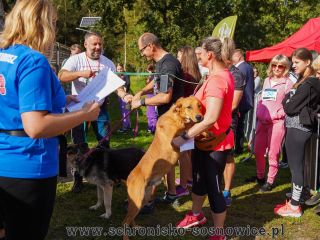 Rajd skrot 012