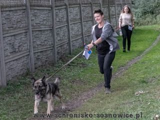 Rajd skrot 022