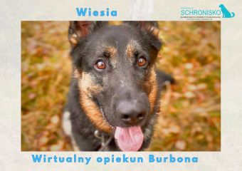 Wirtualny opiekun Burbona
