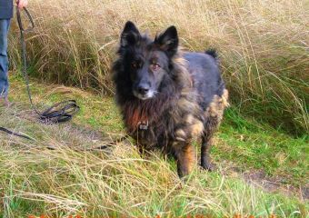 Miss Soffi