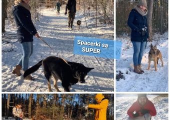 Spacer