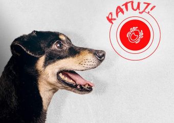 Akcja Ratuj