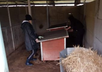 FB IMG 1608131124477