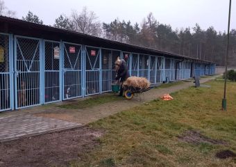 FB IMG 1608131126970