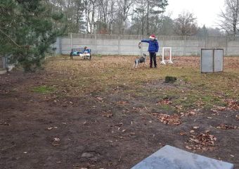 FB IMG 1608131129323