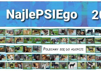 najlepsiego 2021