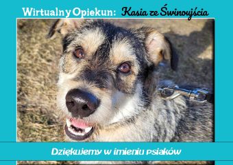 c_340_240_16777215_0_0_images_psy_psy_ADWIRTozi.jpg