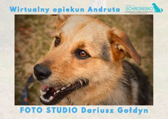 Andrut