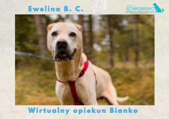 Zdjęcie WhatsApp 2025 10 30 o&nbsp;11.25.36 1684cb92