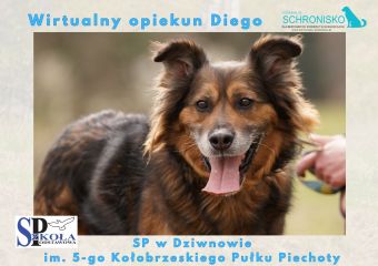 Wirtualny opiekun Diego