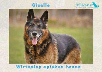 Wirtualny opiekun Iwana