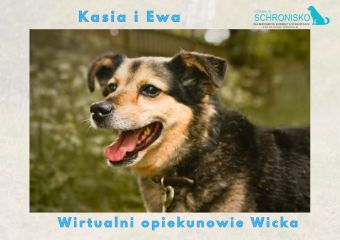 Wirtualny opiekun Wicka