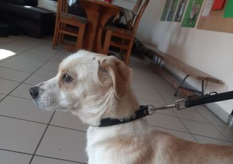 Kama