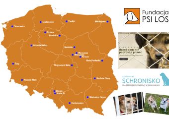 mapka