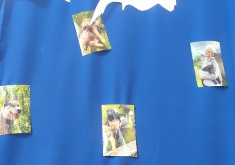 Screenshot 20220608 171105 Gallery