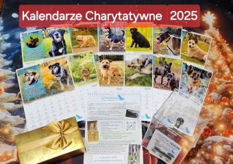 Kalendarz 2025