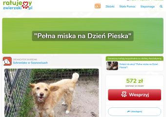 pelna miska dzien pieska