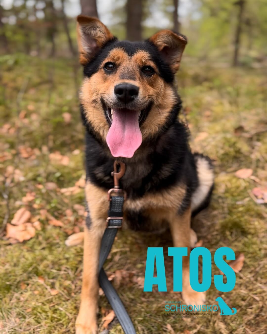 ATOS