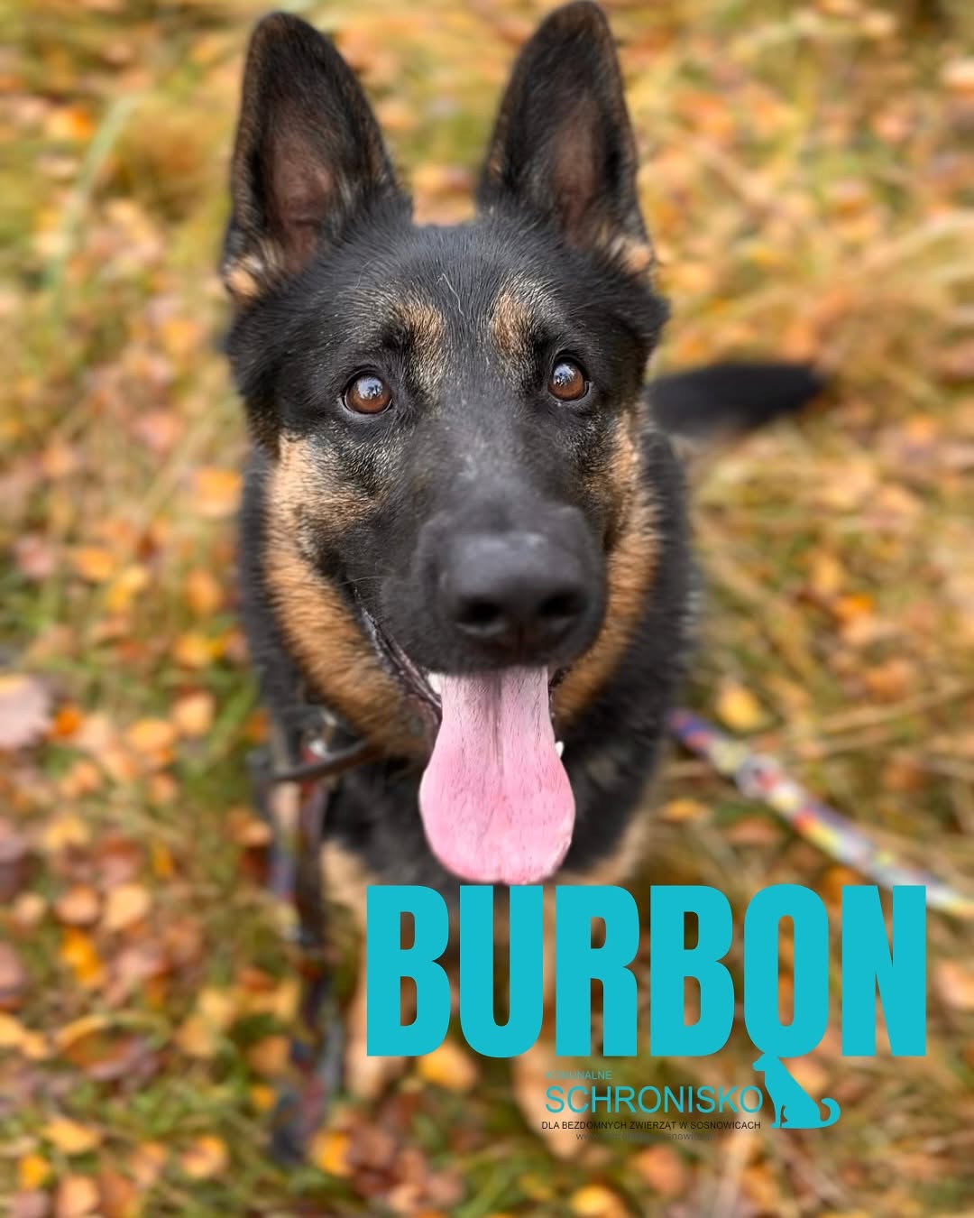 BURBON