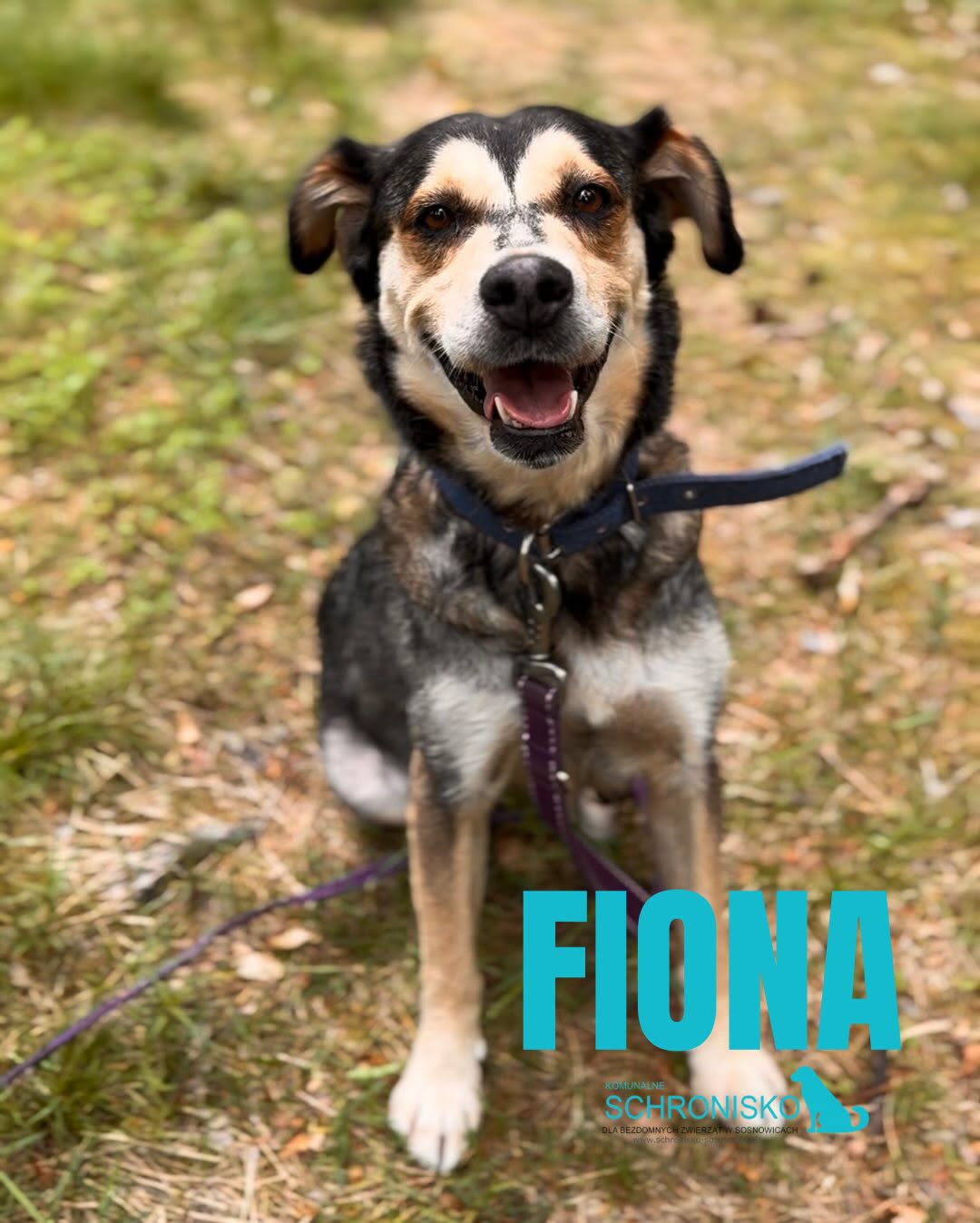 FIONA