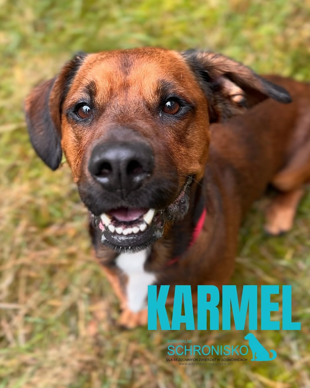 KARMEL