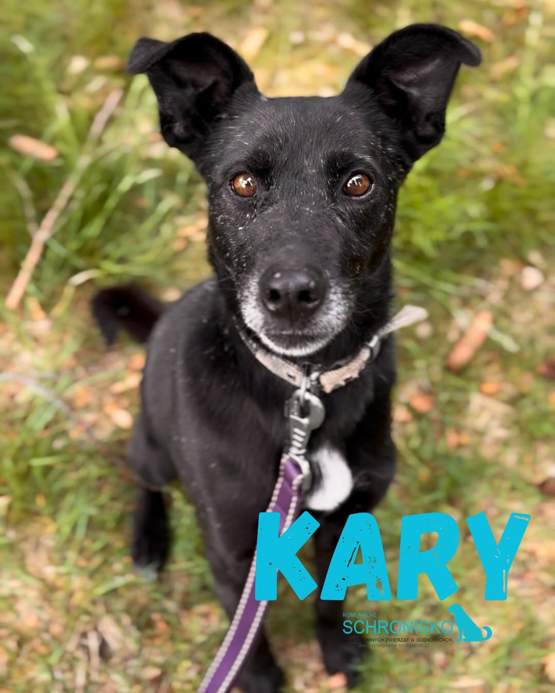 KARY