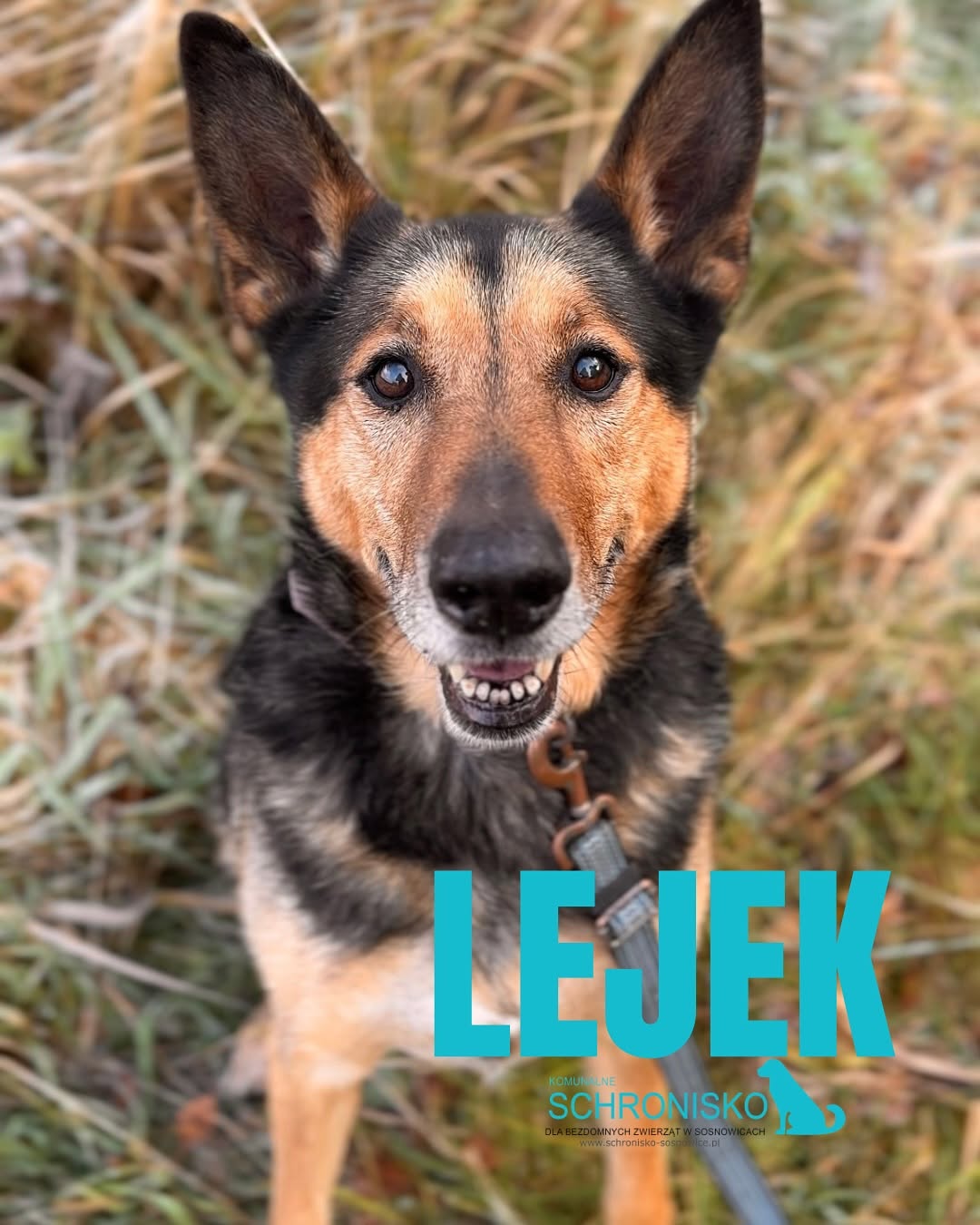 LEJEK