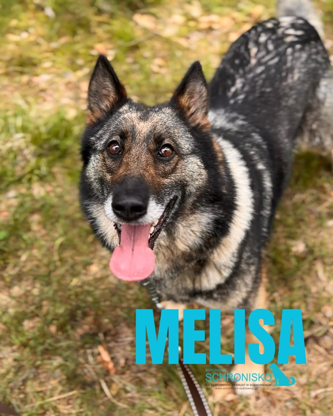 MELISA