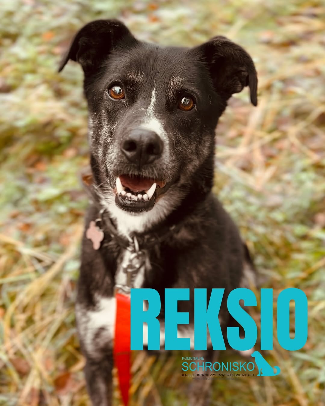 REKSIO