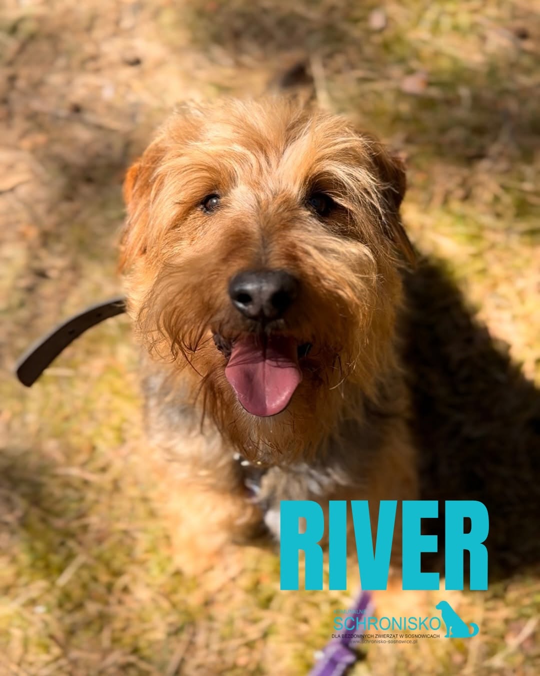 RIVER